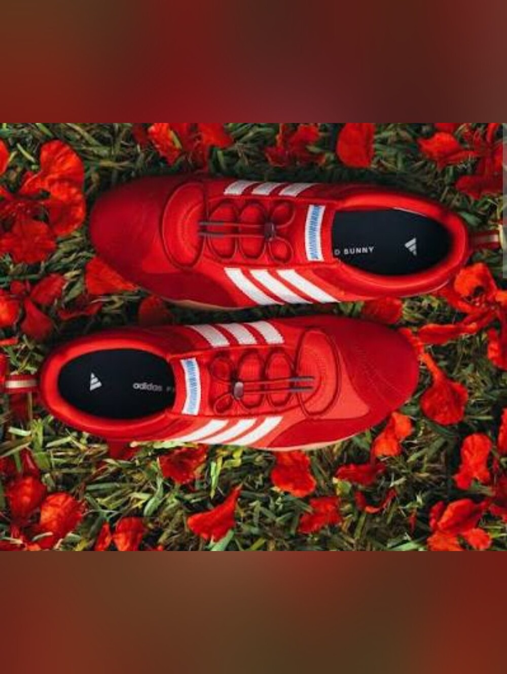 The Bad Bunny x Adidas Ballerina Flamboyan 5.5 Men, Women 6 1/2 - 38 - Picture 2 of 4